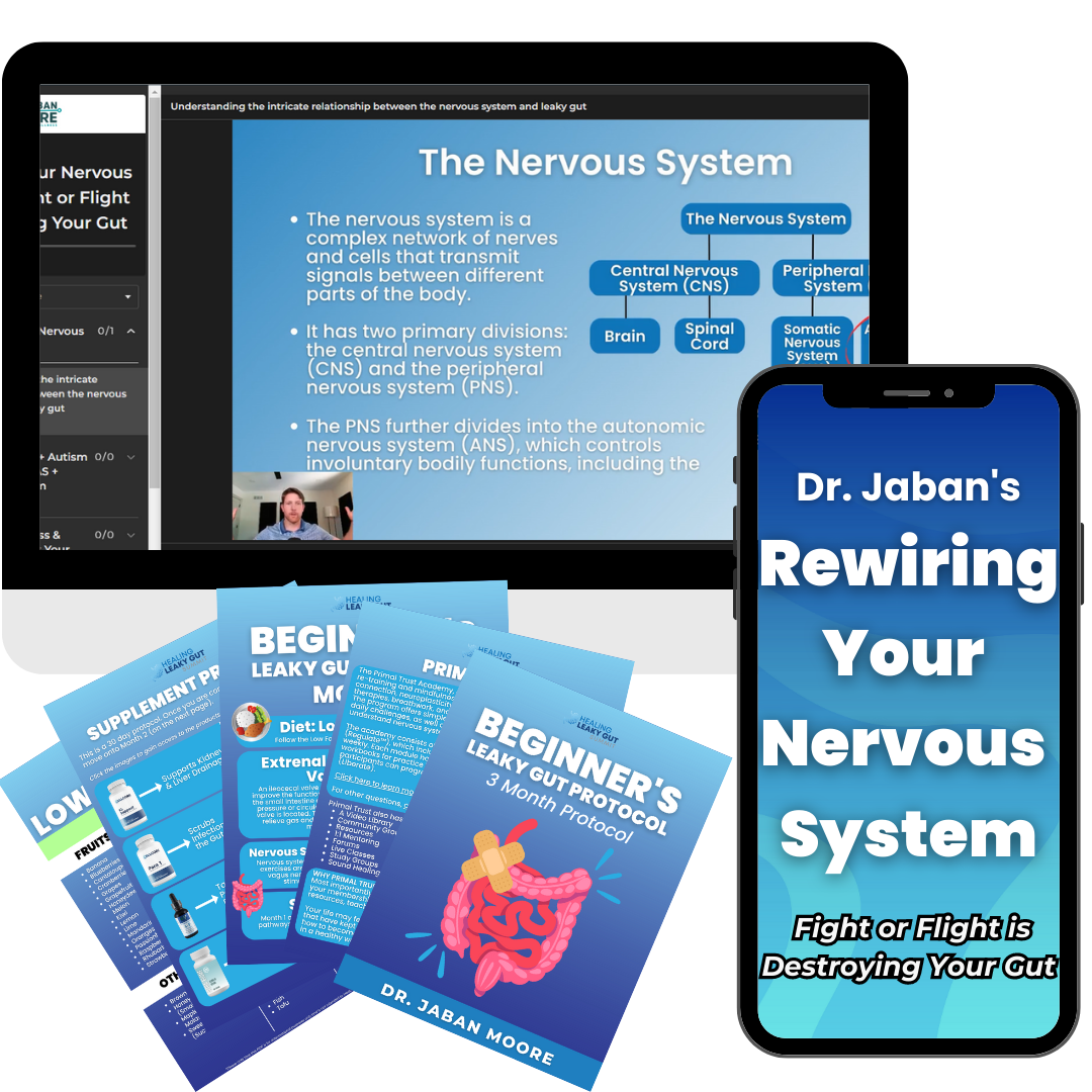 Dr. Jaban's Virtual Rewiring Nervous System & Gut Course