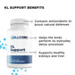 Liver Support Kit - Dr Jaban Moore - Store